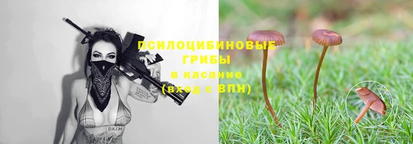 2c-b Алексеевка