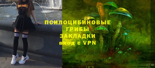 первитин Алексин
