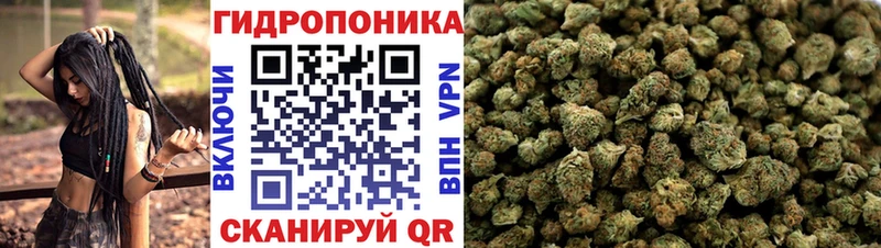 где купить наркоту  Мегион  МАРИХУАНА марихуана 